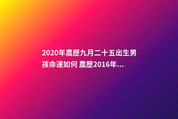 2020年農歷九月二十五出生男孩命運如何 農歷2016年9月25晚上9.50生男孩是什么命？-第1張-觀點-玄機派